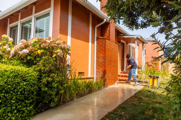 Best Affordable Power Washing  in Pelican Bay, FL